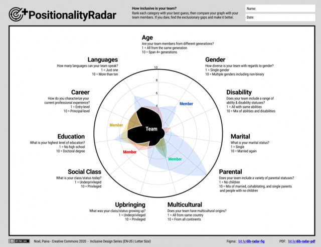 A graphical representation showing the position of members and the team in relation to each of the categories. Catagories include gender, diability, career, social class, multicultural, and so on.